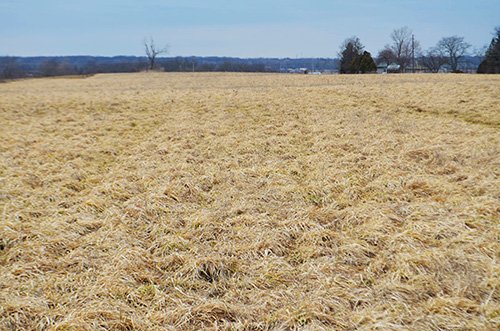 Property photo 51 - REAL ESTATE & FARM EQUIPMENT AUCTION IN ALLEN COUNTY, INDIANA